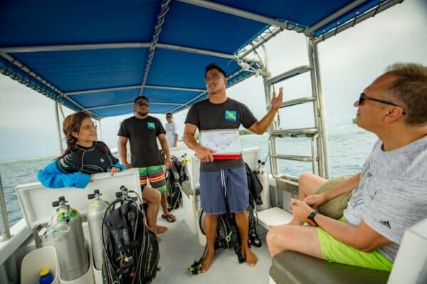 Palau Dive Adventure